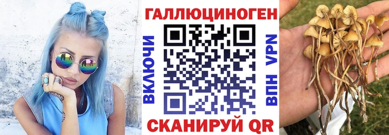 Галлюциногенные грибы Psilocybe  Куса 